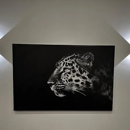 Soul By Interior Apartment *