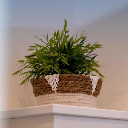 Soul By Interior Apartments - Familienapp Fuer 4 Personen - Nahe Ice-Bahnhof, Unesco-Bergpark - Parkplatzmoeglichkeit - Ebk, Kinderfreundlich, Chic & Komfort - Gratis Wlan & Kinderspielzeug Kassel