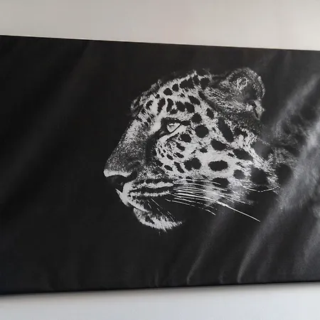 Soul By Interior * Kassel