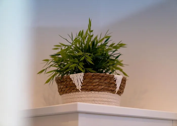 Soul By Interior Kassel